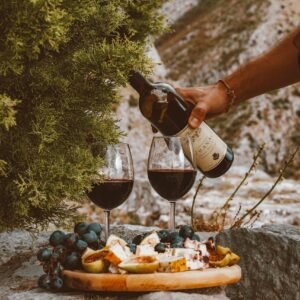 Les accords mets & vins